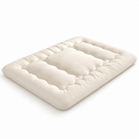 Futon Japonais  - Housse Lavable & Sac de Transport